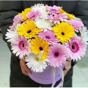 Коробка с нежными герберами